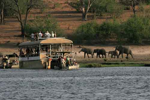 Chobe Safari Lodge - Kasane Botswana