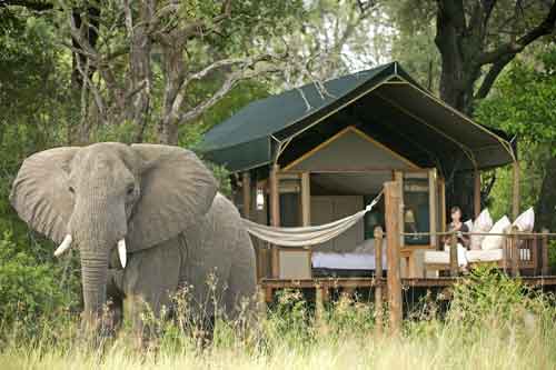 Stanley's Camp - Okavango Botswana