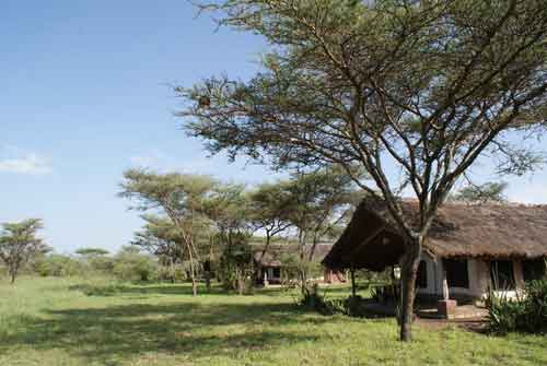 Ikoma Tented Camp - Serengeti Tanzania