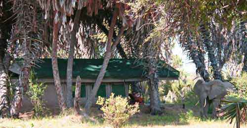 Lake Manze Camp - Selous Tanzania