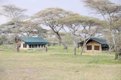 Tingitana Camp - Serengeti Tanzania