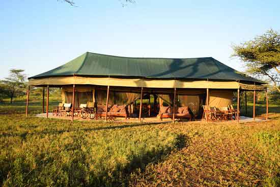 Tingitana Camp - Serengeti Tanzania