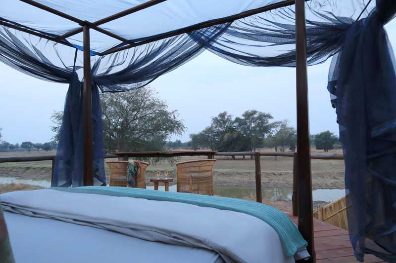 Lion Camp - South Luangwa Zambia