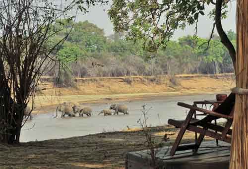 Mchenja Camp - South Luangwa Zambia