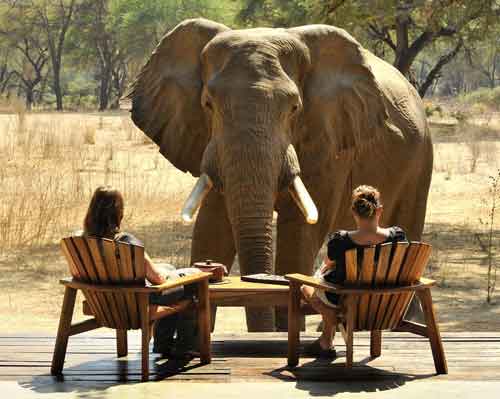 Old Mondoro - Lower Zambezi Zambia