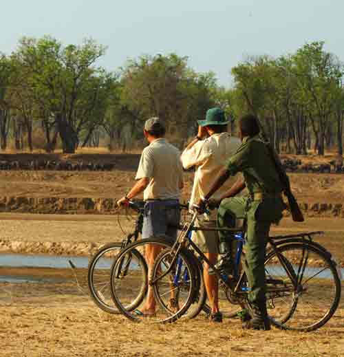 Tafika Camp - South Luangwa Zambia