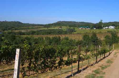 Bushmen Rock - Harare Zimbabwe