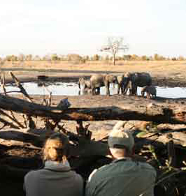 Camp Hwange - Zimbabwe