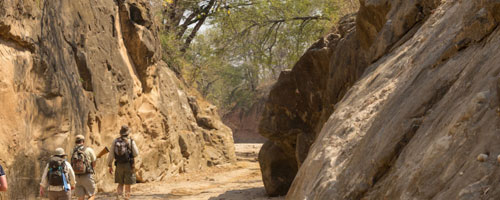 Chitake trail - Mana Pools Zimbabwe