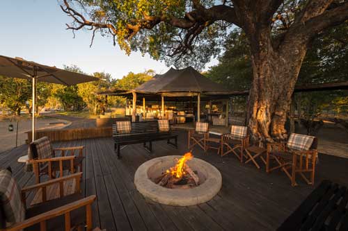 Little Makalolo - Hwange Zimbabwe