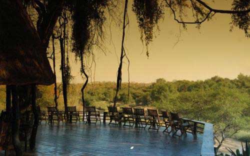 Mokore Camp - Save Valley Zimbabwe