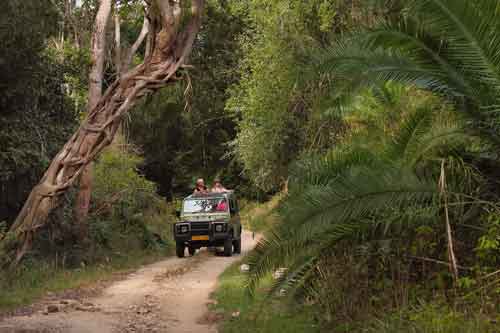 Saadani safari Tanzania