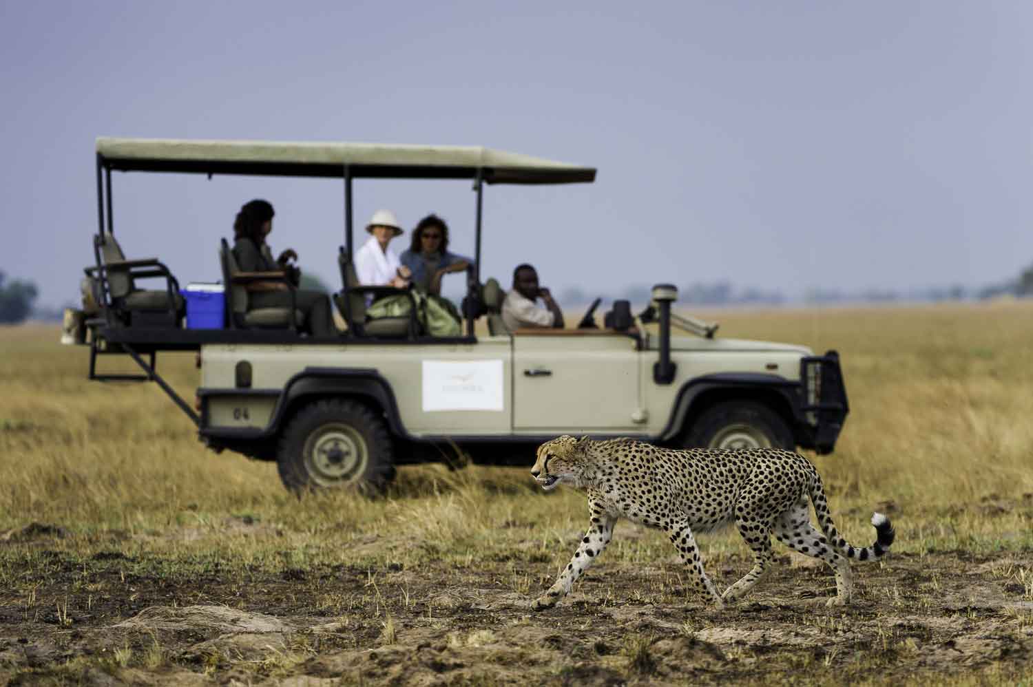 Kafue Busanga Plains Zimba Safaris | Kafue National Park Zambia