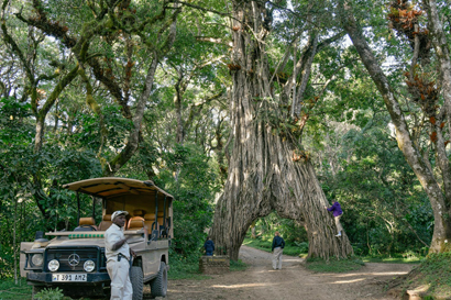 Arusha National Park Tanzania