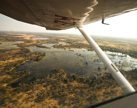 Okavango Delta Moremi Botswana
