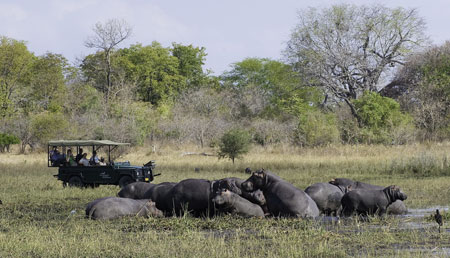 Liwonde National Park in Malawi 