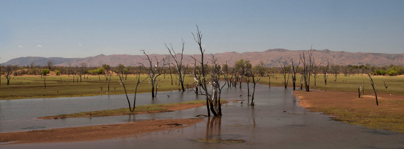 Matusadona National Park Zimbabwe