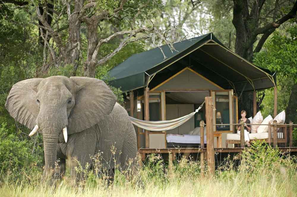 Okavango Delta Moremi Botswana