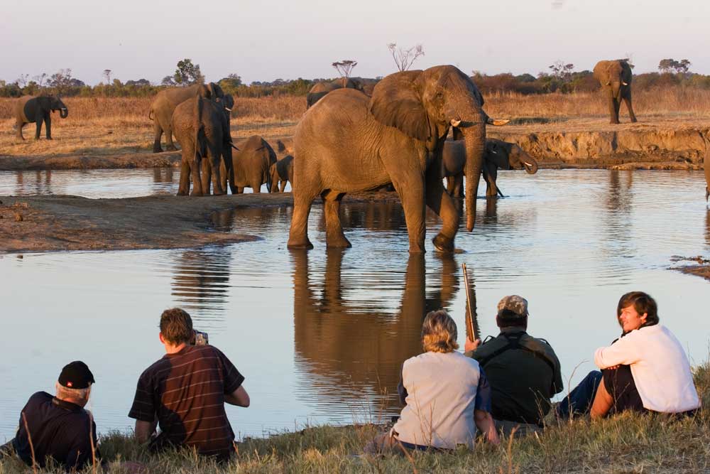 Zimbabwe Hwange National Park