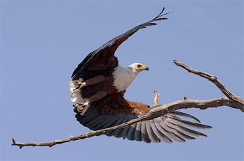 Zimbabwe Lake Kariba