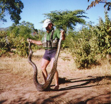 Matusadona National Park Zimbabwe